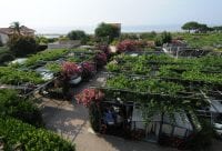 Camping Lino Cervo